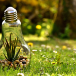 11ème Rencontres nationales énergie et territoires ruraux : vers des Territoires à énergie Positive