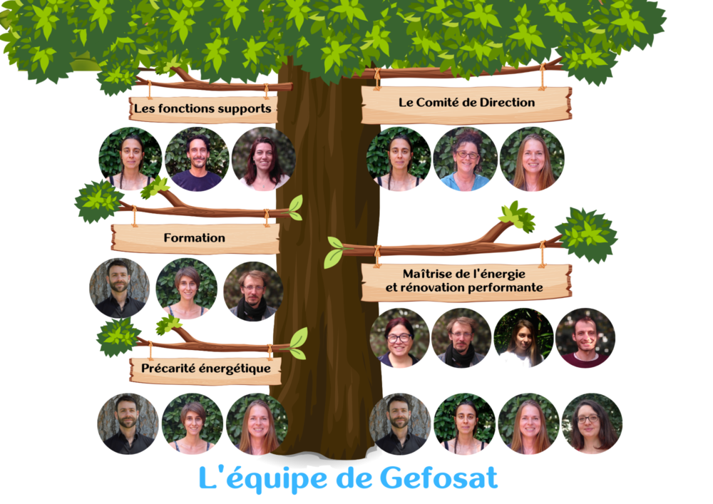 Organigramme de Gefosat arbre