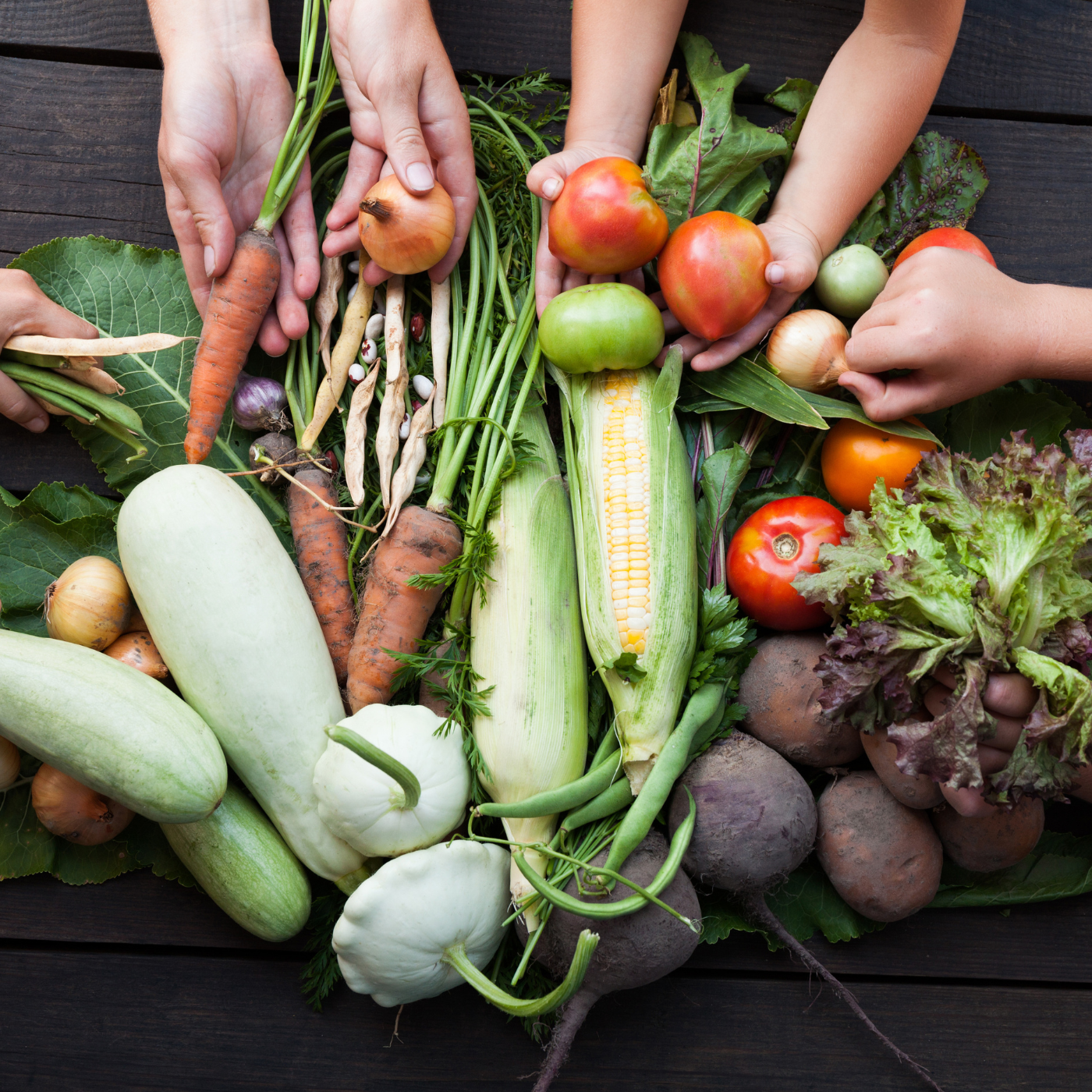 Image vignette Alimentation durable