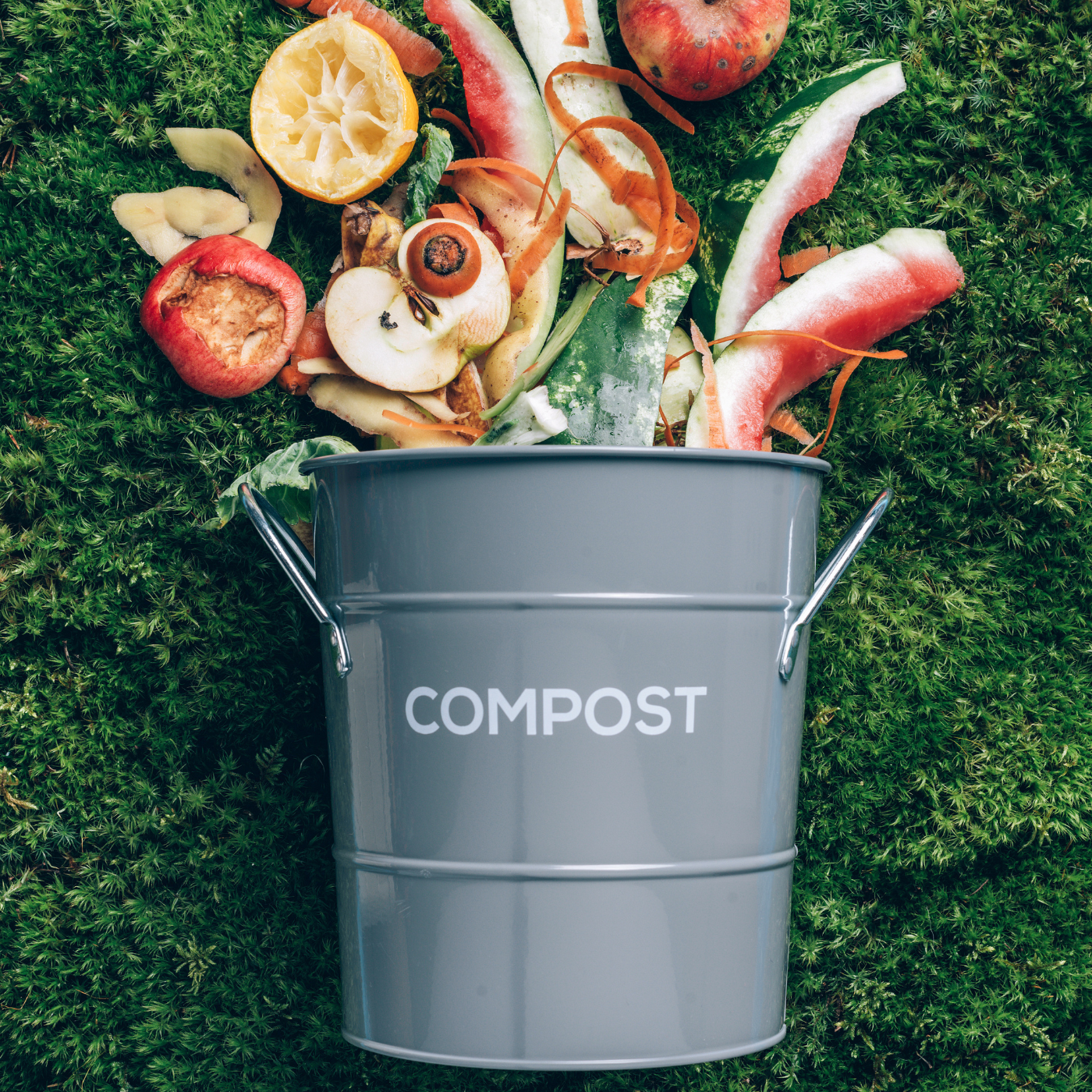 Image vignette Compost et jardin