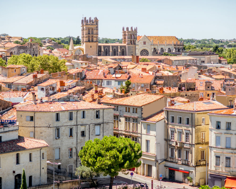 Accompagnement du Slime Montpellier : 2018 – En cours