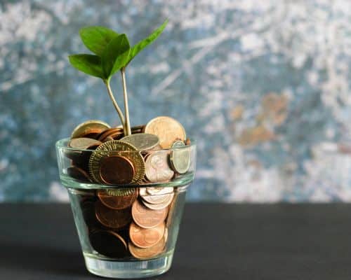 euro dans un verre avec une plante